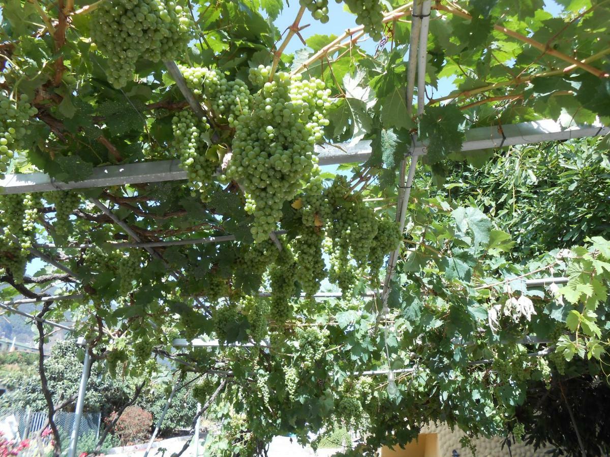 Casitas Las Uvas Y Las Vinas Los Realejos Kültér fotó